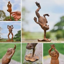 Frog Yoga Decorative