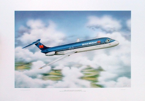 Aviation art print dc 9 - aviation,