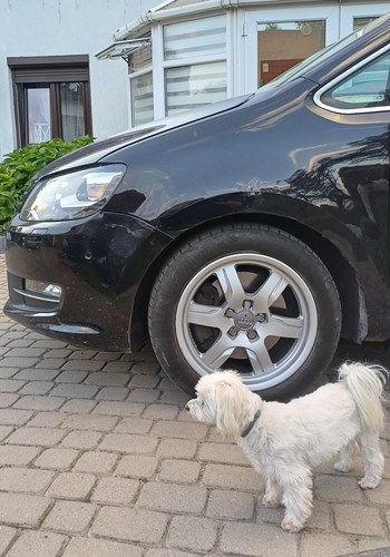 Alloys 5x112 vw passat - 17",