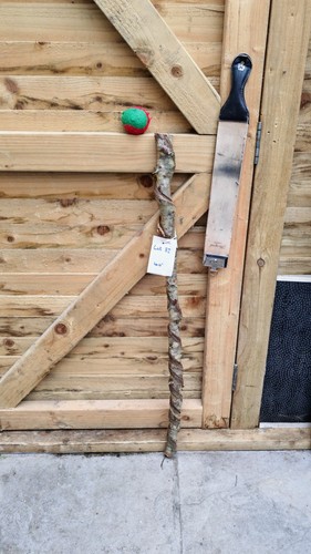 Twisted twisty wood - twisted,