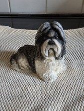 Leonardo Collection Shih Tzu