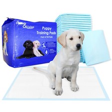 Puppy Training  Pads Dog Floor