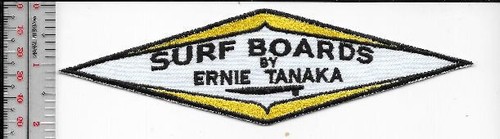 Surfing usa surf - surfing,