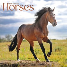 Horses 2026 Calendar Gift Horse Wall 15% OFF MULTI ORDERS
