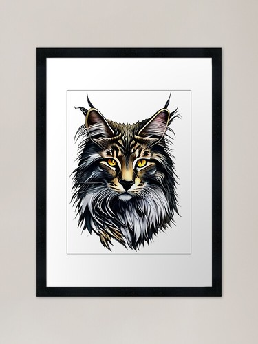Maine coon cat - maine, in