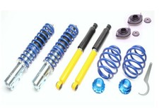 Tuningart Coilovers + strut