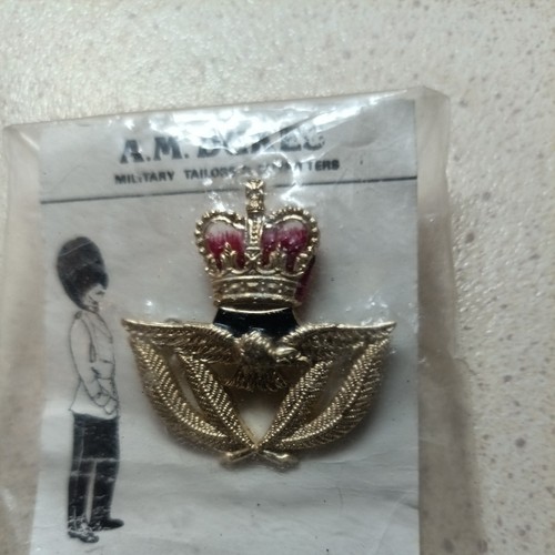 British raf warrant officer - raf,