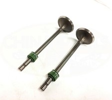 Inlet & Exhaust Valves with Seals for Lifan Arizona 125 LF125-14F
