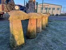 Reclaimed Batch Of 5 Buff