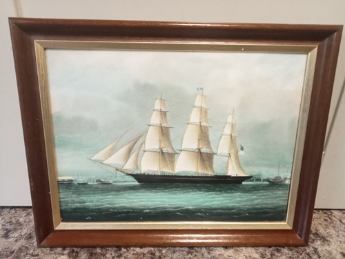 Wedgwood sea witch - wedgwood,