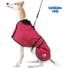 Ginger Ted Waterproof Greyhound Whippet Lurcher Harness Coat - warm, raincoat