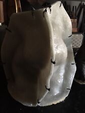 READY TO POST Fibreglass & Latex Mould Of A Vintage Bulldog Brought Back 9 1/2”