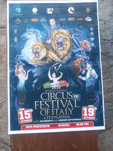 International circus festival - circus,