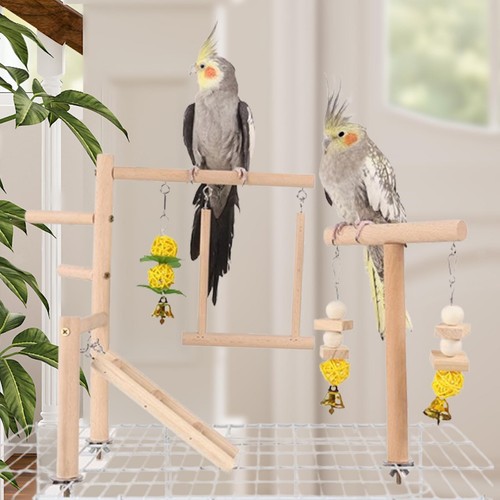 Parrot bird playground - bird,
