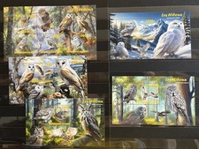 Birds / Owls / Fauna / Les  Hiboux /Nature - CTO - SN2