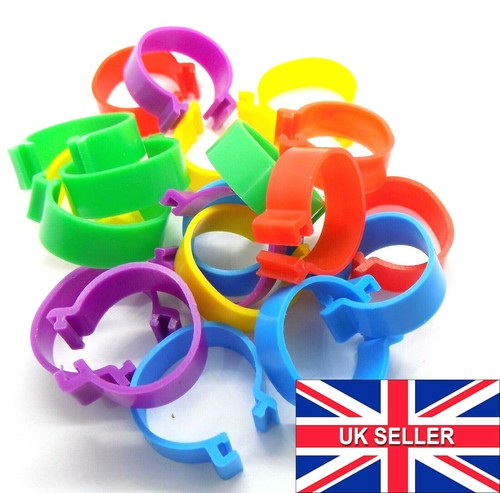 Large 20mm birds - large,