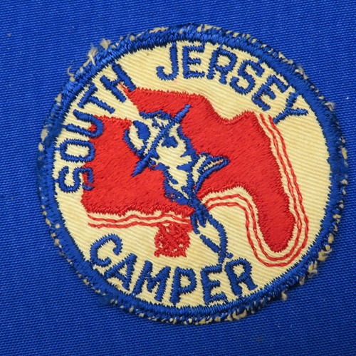 Boy scout vintage - scout,