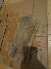 Flat Dog Latex Rubber Mould