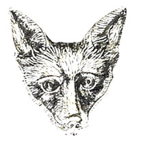 Fox Badge Foxes Head Pin