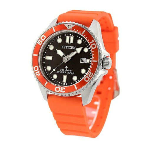 New citizen promaster - new,