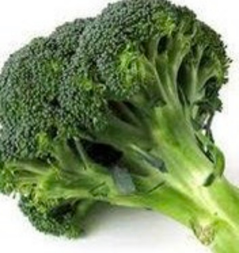 Marathen broccoli x6 plug - marathen,