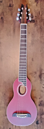 Washburn rover ro10 - washburn,