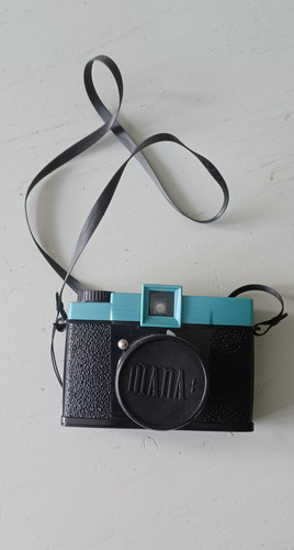 Diana lomography 120 medium