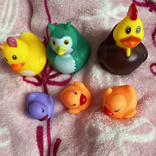 Multicolour squeaky animal - multicolour,
