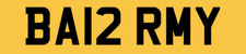FUNNY BARMY NUMBER PLATE REG