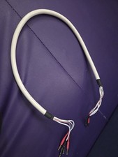 Chord Odyssey 4 Speaker