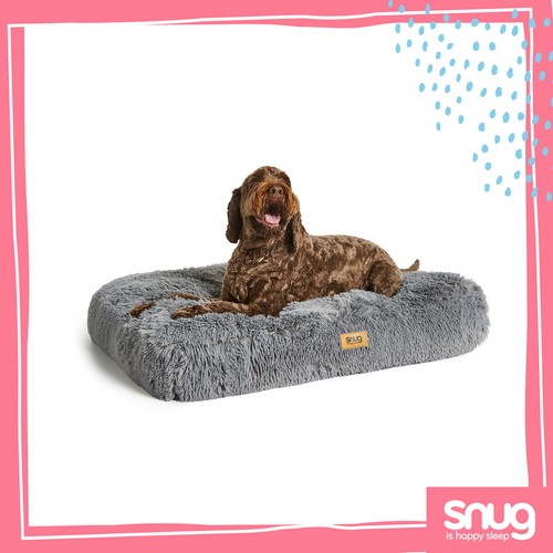 Snug super fluffy dog - dog, pet
