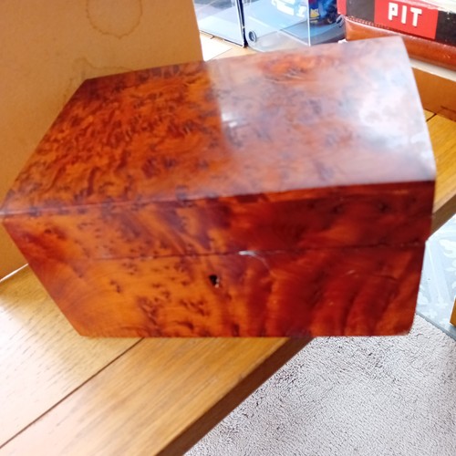 Vintage heavy thuya burr wood - burr,