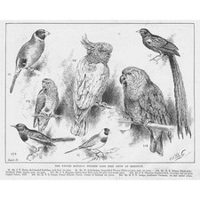 BRIGHTON The United Kingdom