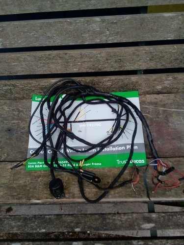 Wiring harness bsa b31 - harness,,
