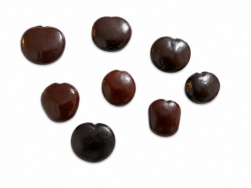 Sea heart magnets natural - sea, –