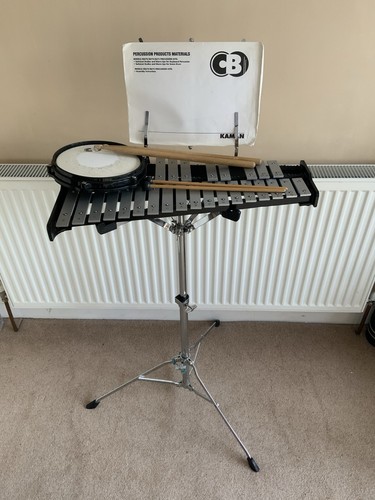 Percussion xylophone and drum - percussion,