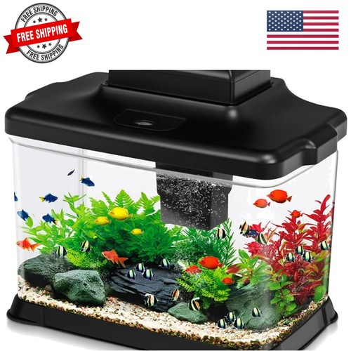 Small fish tank - fish,