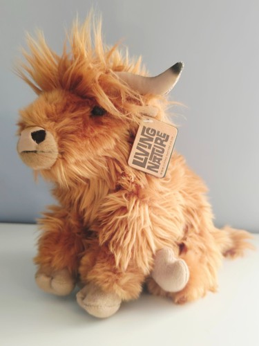 Living nature highland cow - living,