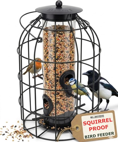 Squirrel proof bird feeder - squirrel,
