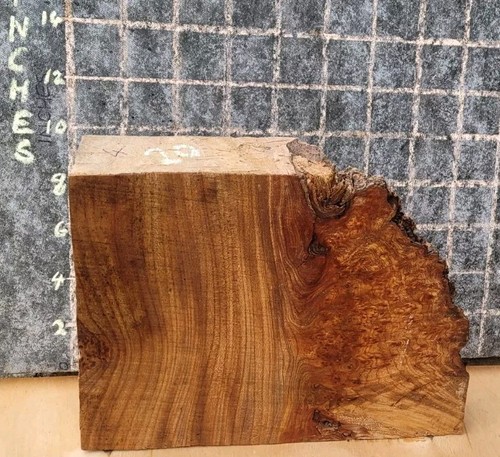Timber scottish burr elm blank - burr,