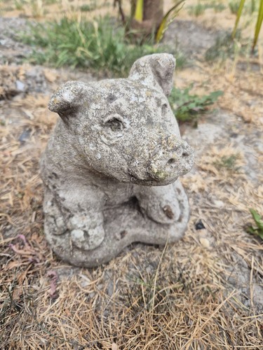 Vintage cast stone piglet - stone,