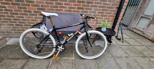 Muddyfox custom build - custom, old