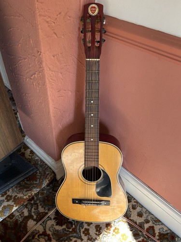 Selmer accoustic flat top - flat,