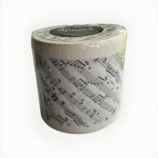 Novelty Toilet Paper Roll Music Notes Print 2-Ply 400 Sheets AimGifts Sealed