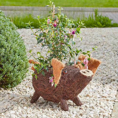Rattan pig flower - pig, planter