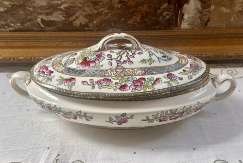 Wedgwood antique indian tree - wedgwood,