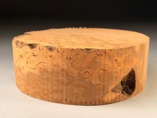 Burr Elm Wood Turning Bowl