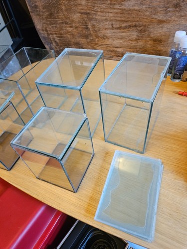 Terrarium plants glass types - glass, 2