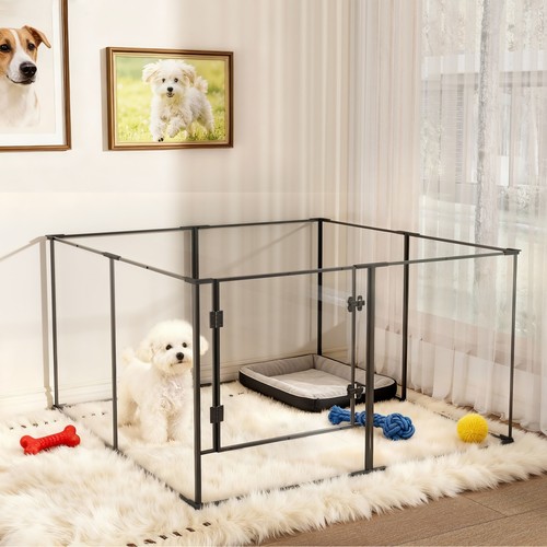 Tall acrylic clear dog - clear, play