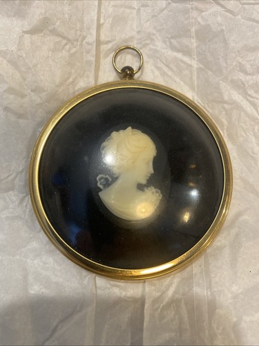 Lady cameo from the - lady,